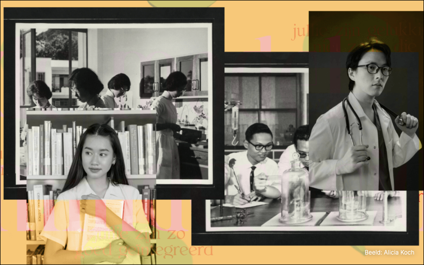 De mythe van modelminderheid